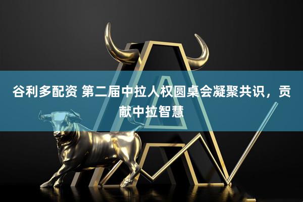 谷利多配资 第二届中拉人权圆桌会凝聚共识，贡献中拉智慧