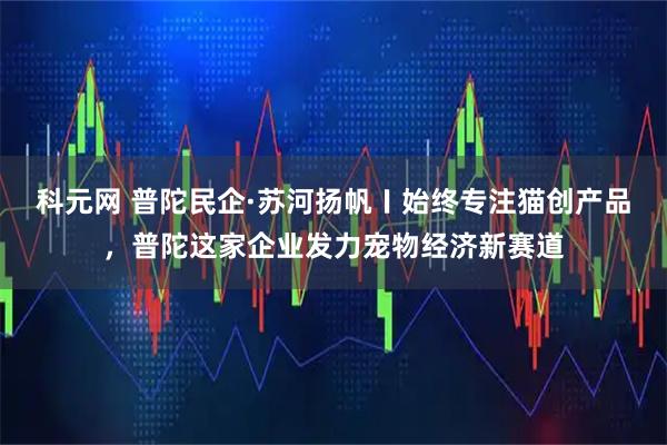科元网 普陀民企·苏河扬帆〡始终专注猫创产品，普陀这家企业发力宠物经济新赛道