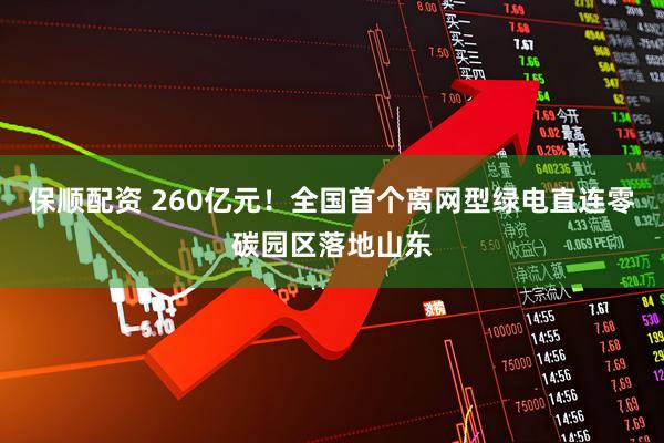 保顺配资 260亿元！全国首个离网型绿电直连零碳园区落地山东