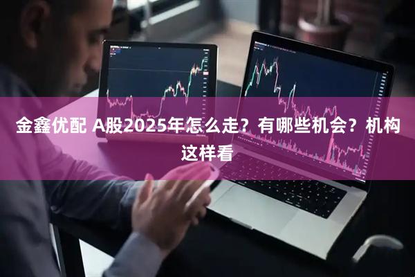 金鑫优配 A股2025年怎么走?有哪些机会?机构这样看