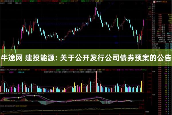 牛途网 建投能源: 关于公开发行公司债券预案的公告